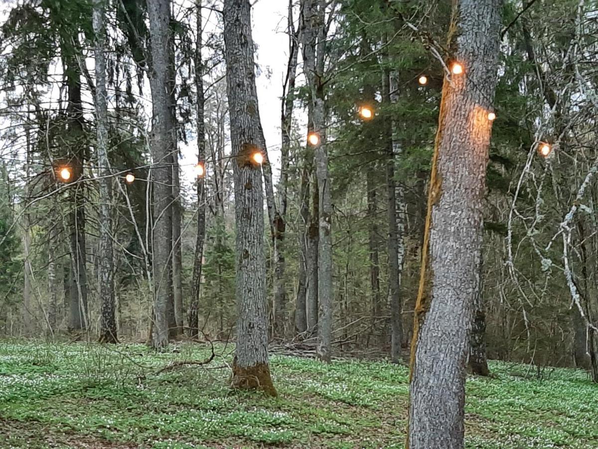 Villa Mosku Pirts Meza Maja Turaida Esterno foto