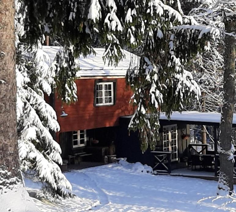 Villa Mosku Pirts Meza Maja Turaida Esterno foto