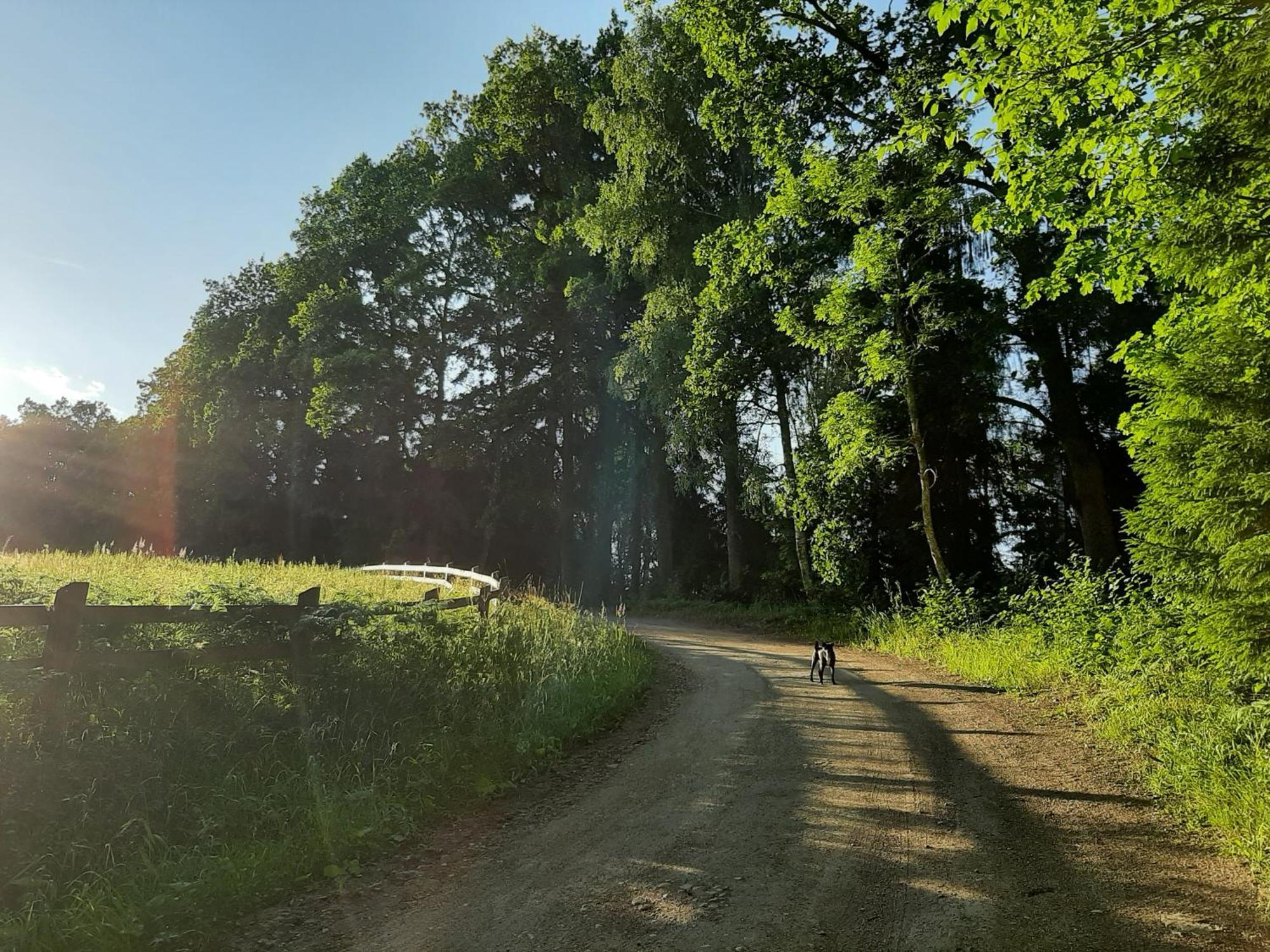 Villa Mosku Pirts Meza Maja Turaida Esterno foto